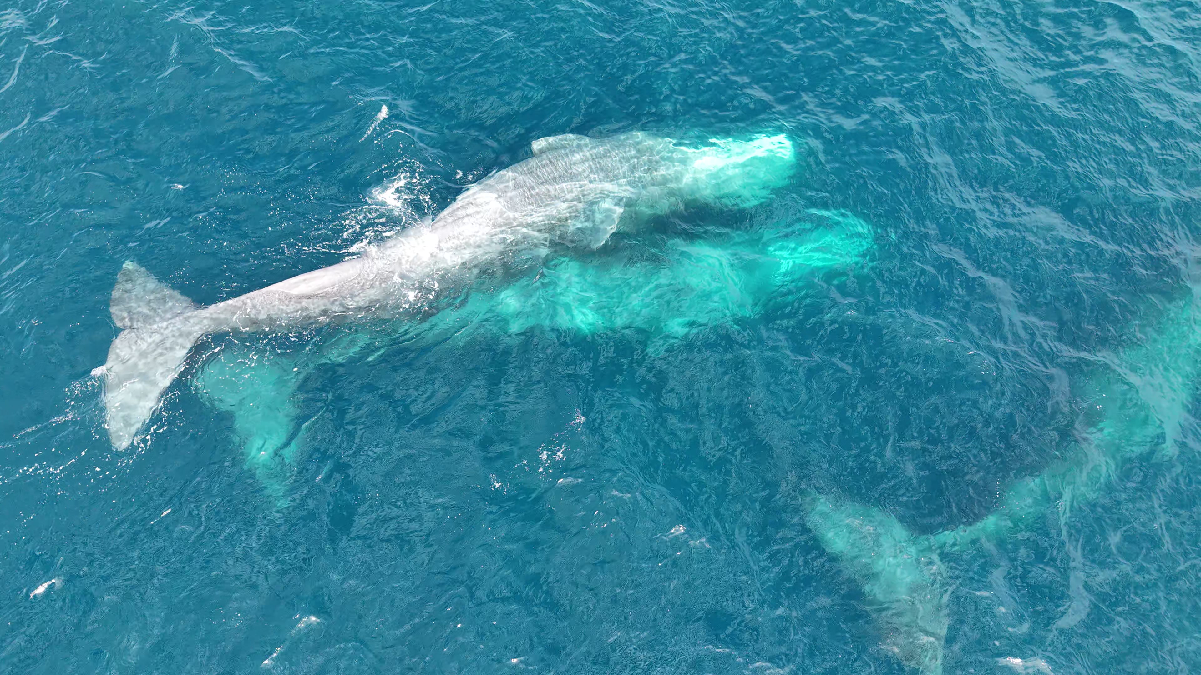 Sea of Cortez near La Ventana, Baja California Sur